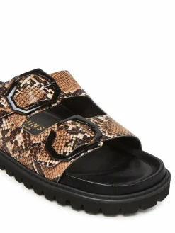 Ciabatte Galia Vegan G106282 Marrone