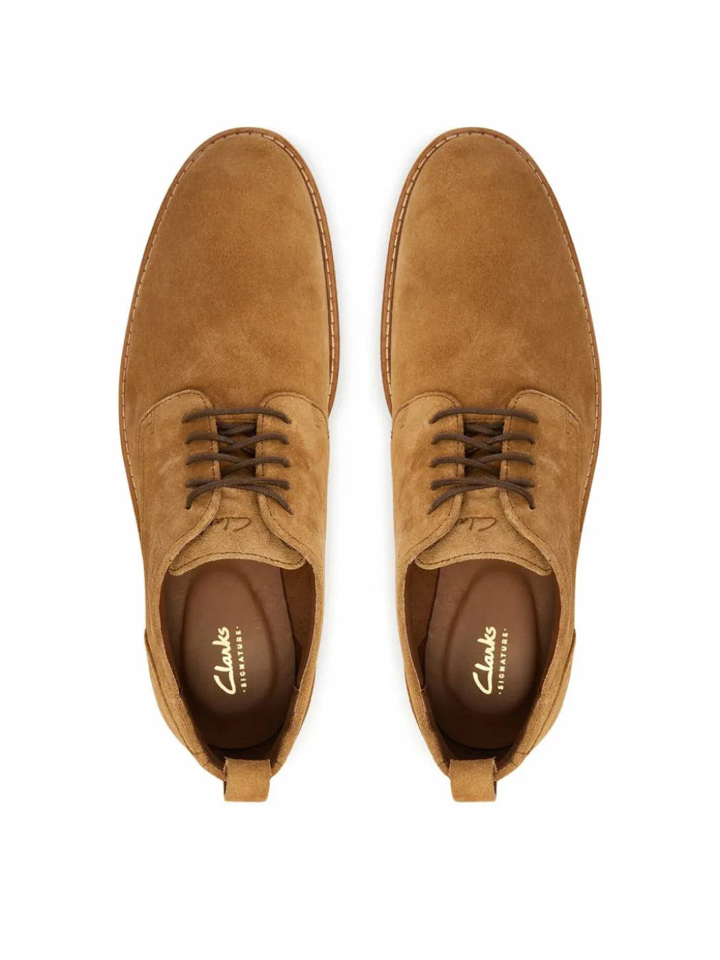Scarpe basse Aldwin Lace 26186448 Marrone