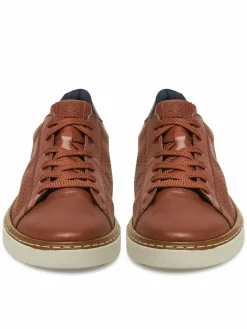 Scarpe basse B4903-24 Marrone