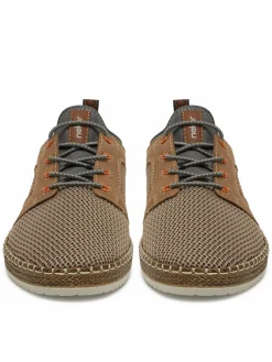 Scarpe basse CEO-B5252-66 Marrone