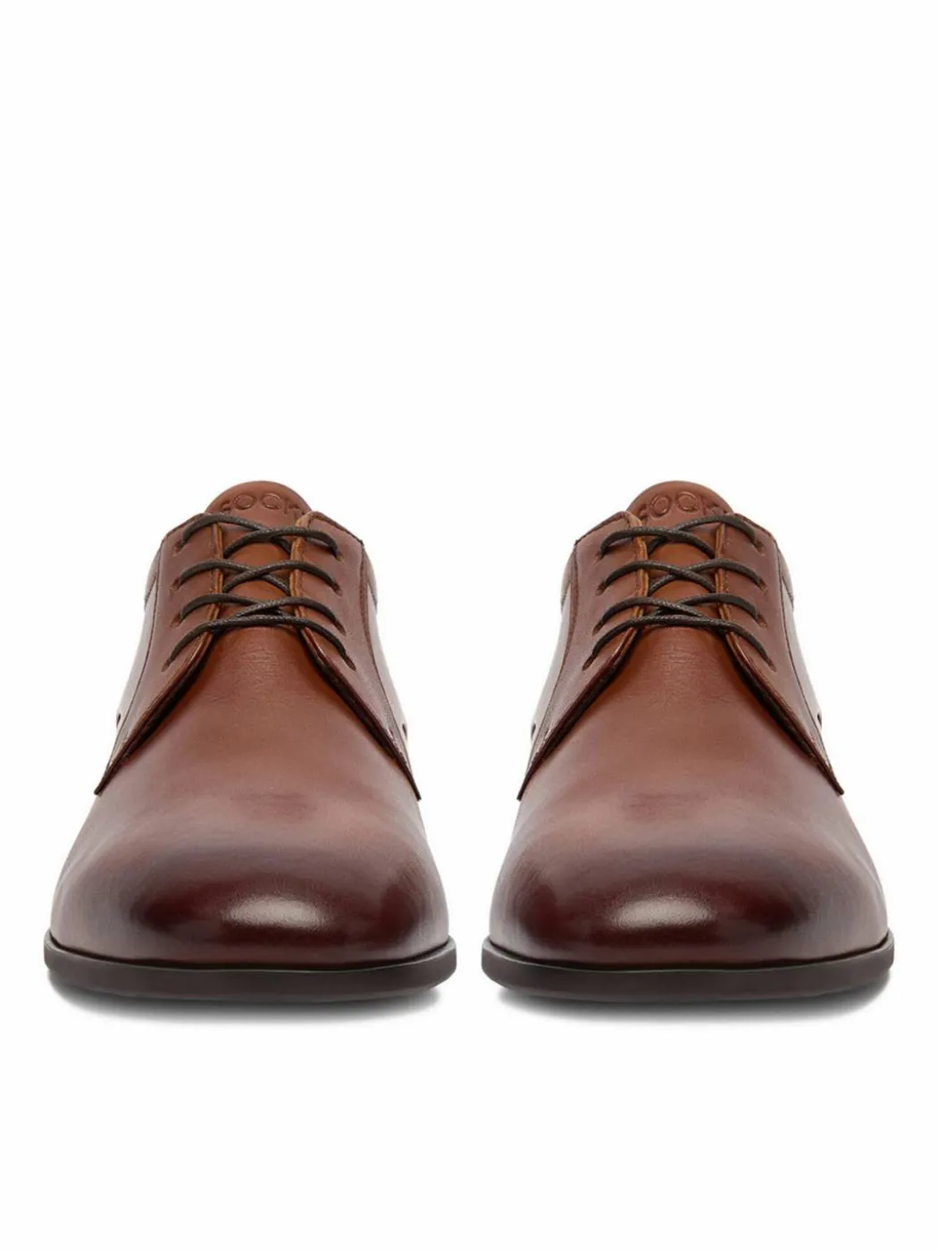 Scarpe basse CEO-DANUBE-03A MI08 Marrone