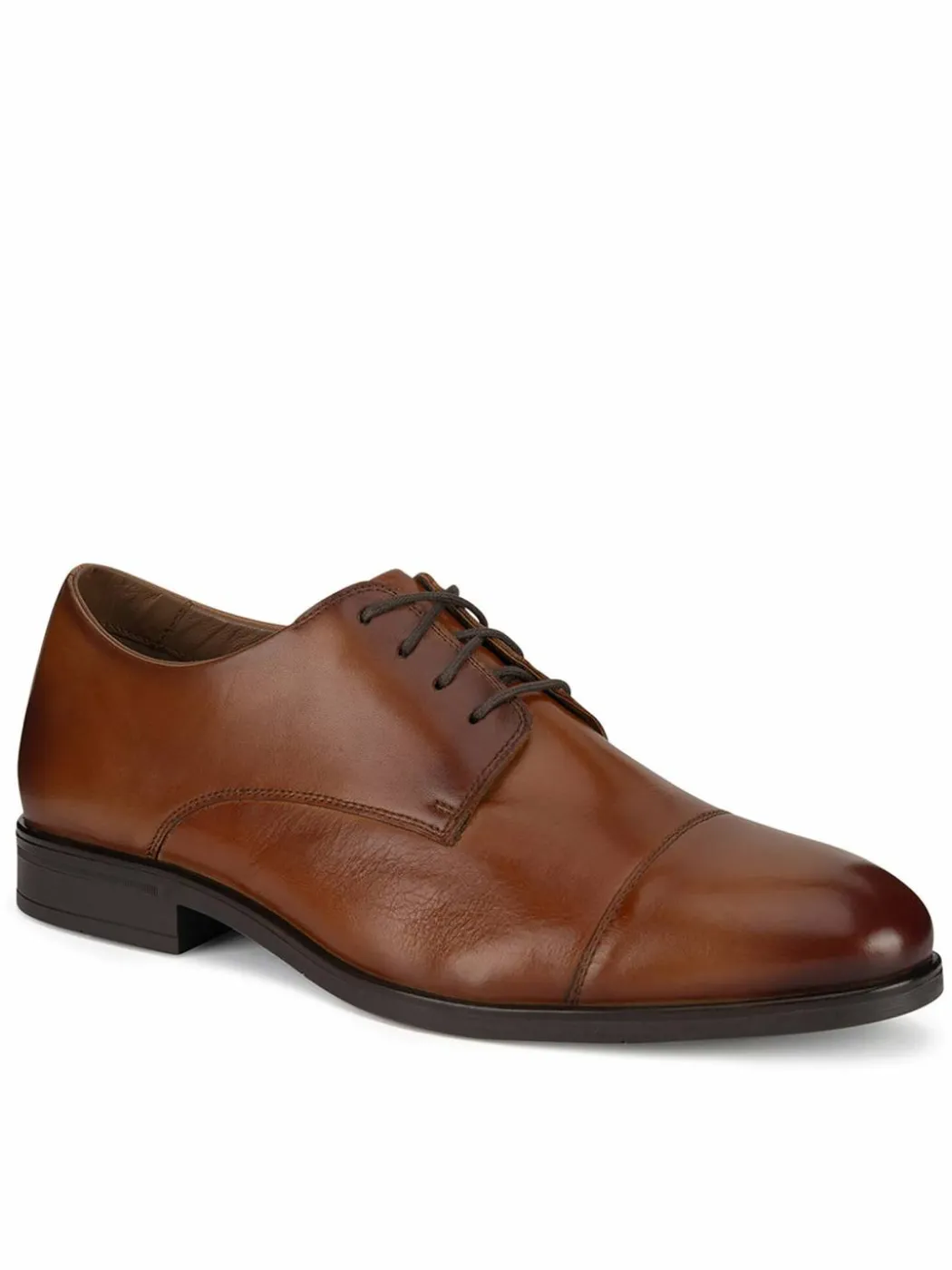Scarpe basse CEO-PASCAL-02 MI25 Marrone